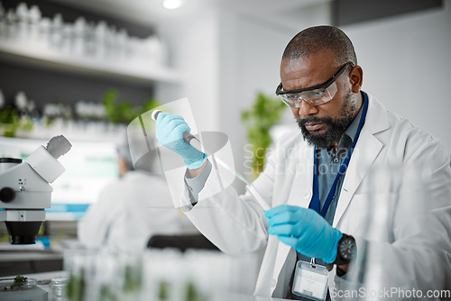 Image of Man, thinking or pipette for test tubes in laboratory, medical science research or gmo food engineering. Worker, dropper or plant scientist and biology glass equipment in sustainability leaf research