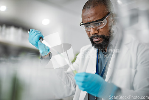 Image of Scientist man, thinking or test tubes in laboratory pharma, medical science research or gmo food engineering. Worker, dropper or pipette and biology glass equipment in sustainability plants research