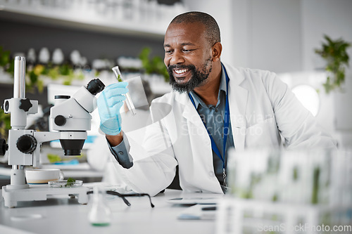 Image of Science, sustainability and sample with a black man doctor working in a laboratory for research or innovation. Biology, microscope or healthcare with a male scientist at work in a lab for development