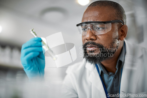 Image of Plant scientist, thinking or test tubes in laboratory pharma, medical science research or gmo food engineering. Worker, man or biologist with glass equipment in sustainability leaf or growth research