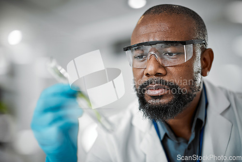 Image of Scientist face, thinking and test tubes in laboratory pharma, medical science research or gmo food engineering. Zoom, man and biologist with glass equipment in healthcare, sustainability or growth