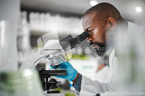 Image of Biologist, microscope and laboratory scientist in plant growth analytics, food engineering or leaf medical research. Mature man, worker or employee with science magnify technology for sustainability