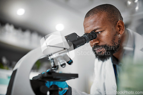 Image of Mature man, microscope and laboratory scientist in plant growth analytics, food engineering or leaf medical research. Biologist, worker or employee with science magnify technology for sustainability