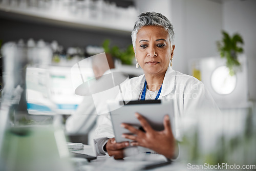 Image of Woman, tablet or thinking in science laboratory for medical research, innovation or ideas for genetic gmo engineering. Plant scientist, worker or biologist on technology in growth sustainability data