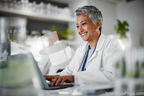 Image of Scientist, senior woman and lab with laptop, research and plants with analytics, pharmaceutical study and focus. Elderly science expert, computer and typing for data analysis for goal in laboratory