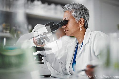 Image of Scientist, senior woman and lab with microscope, research or plants with particles, pharmaceutical study and focus. Elderly science expert, computer or vision for data analysis for goal in laboratory