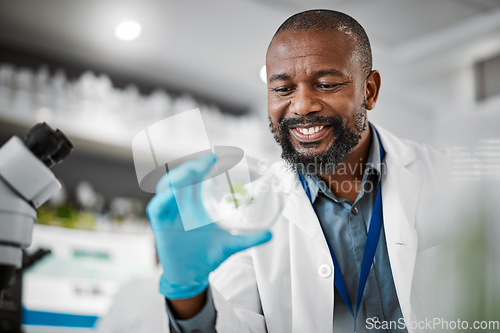 Image of Scientist, research or leaf sample in laboratory, medical engineering or gmo food analytics for farming innovation. Smile, happy or man with science petri dish in pharma study for climate change data