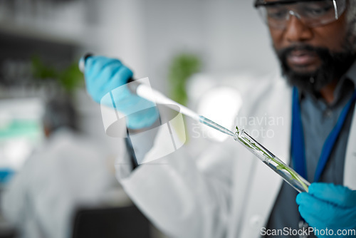 Image of Plant, hands or pipette for test tube science of leaf in laboratory pharma, medical science research or gmo food engineering. Zoom, man or scientist with biology dropper or glass equipment for growth