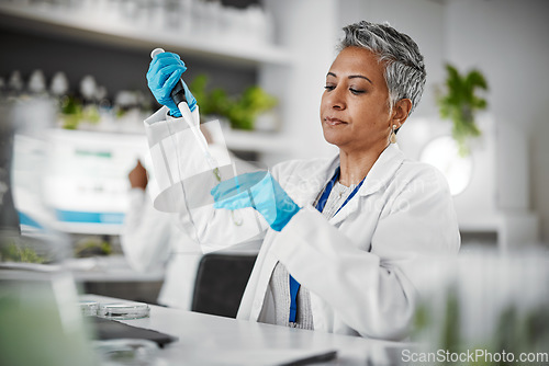 Image of Plants, test tube and science woman with research, exam and solution for leaves in laboratory, eco friendly medicine. Glass, sustainable healthcare study and pharmaceutical growth of senior scientist