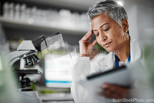 Image of Headache, stress and science woman in laboratory on tablet for plants pharmaceutical research or data results. Mental health, fatigue and burnout senior, scientist person sad or tired of risk report