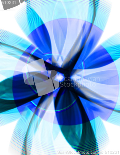 Image of Flower Abstract