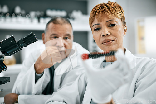 Image of Doctor, blood sample or research on test tube for DNA review, medical or medicine data analysis. Healthcare thinking, teamwork science or nurse for health, cancer innovation or virus test study