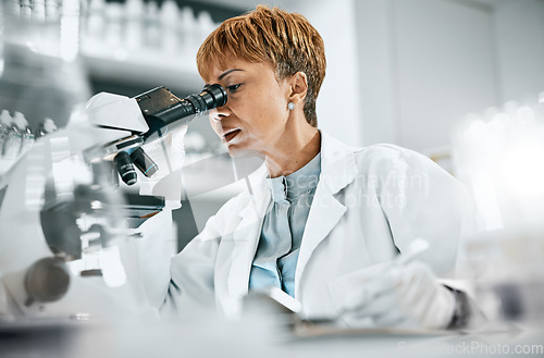 Image of Research, microscope or doctor woman in science data analysis, medical innovation or healthcare. Scientist, futuristic or nurse writing note on health medicine, DNA or vaccine data exam in laboratory