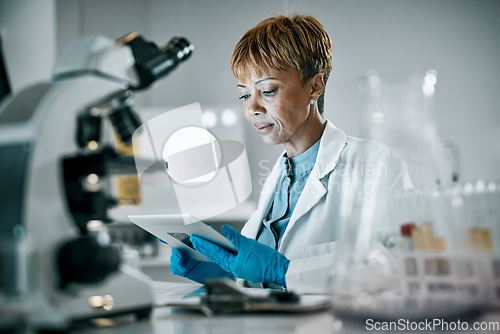 Image of Senior scientist, black woman or doctor with tablet in science laboratory for DNA research, medical and medicine data analysis. Healthcare or nurse for health cancer innovation or virus test study