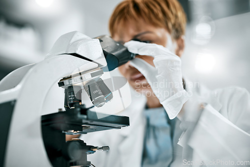 Image of Microscope, study or scientist woman in science laboratory for DNA research, medical and medicine data analysis. Doctor, healthcare teamwork or nurse for health, cancer innovation or virus idea test