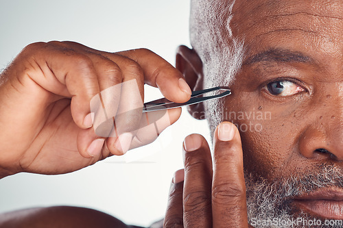 Image of Grooming, zoom and black man with a tweezers for hair removal isolated on a studio background. Cleaning, beauty and face of an African senior model with a tool for facial care on a grey backdrop