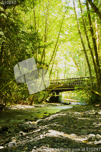 Image of Olympic National Park