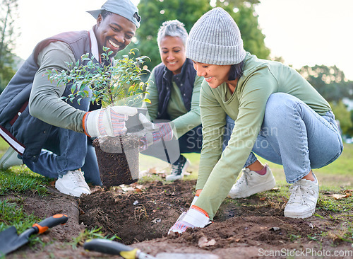 Image of Plants, community service and volunteering group in park, garden and nature for sustainable environment. Climate change, tree gardening and earth day project for growth, global care and green ecology