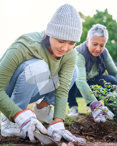 Image of Plants, community service and woman volunteering in park, garden and nature for sustainability. Climate change, team and tree gardening in sand for earth day project, growth and green ecology in soil