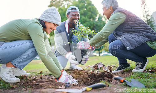 Image of Tree planting, community service and volunteering group in park, garden and nature for sustainable environment. Climate change, soil gardening and earth day project for growth, care and green ecology