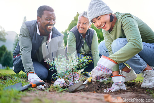 Image of Gardening, community service and people volunteering in park, garden and nature for sustainability. Climate change, happy team and tree plants in sand for earth day project, growth and green ecology