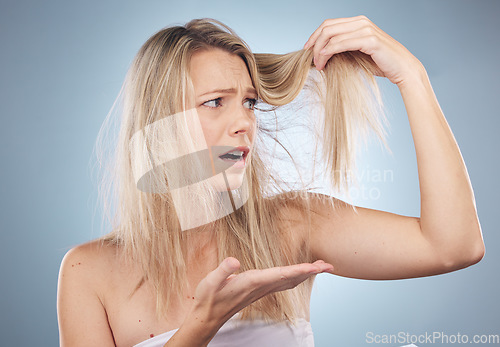 Image of Hair care, stress and shocked woman in studio isolated on a gray background. Beauty, surprised and female model sad, angry and frustrated with hairloss damage, dry split ends and messy hairstyle.