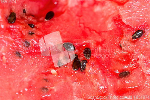 Image of Fresh juicy watermelon against natural green background