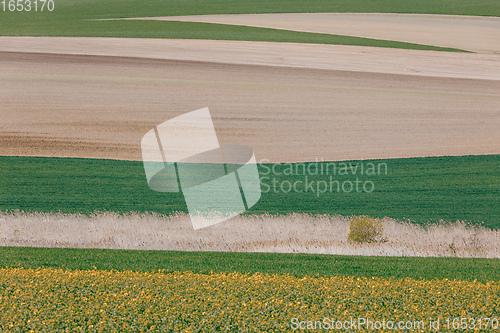 Image of Beautiful summer rural landscape lines