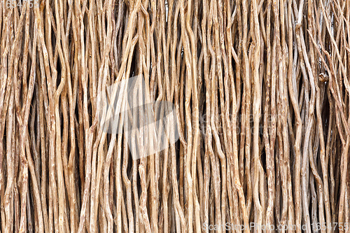 Image of wooden poles for home construction in Madagascar