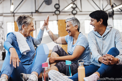 Image of Gym, high five and group of mature women celebrate after fitness class, conversation and congratulations on floor. Exercise, bonding and happy senior woman with friends sitting together at workout.
