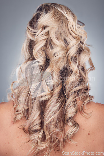 Image of Curly hair, wellness and woman with healthy hairstyle texture after salon treatment in a studio. Gray background, isolated and model with hairdresser balayage, dye and growth from haircut and keratin