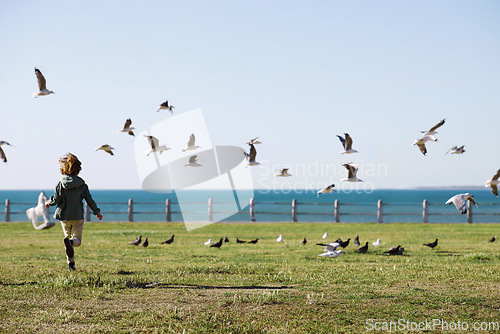 Image of Playful, back and boy running after birds in a park for freedom, summer and happy in Australia. Holiday, youth and excited child playing on a field by the sea during a vacation with animals in nature