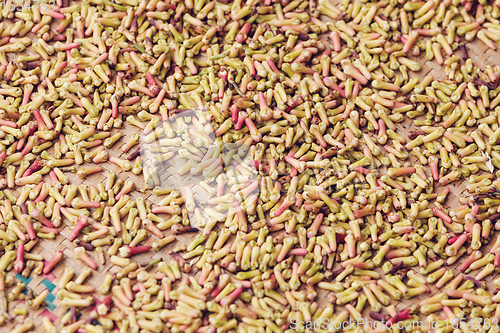 Image of drying flower buds from clove spice