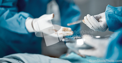 Image of Surgery, hospital and hands of doctors with tweezers in operating room for emergency operation on patient. Health clinic, teamwork and medical surgeons working with surgical tools to save a life.