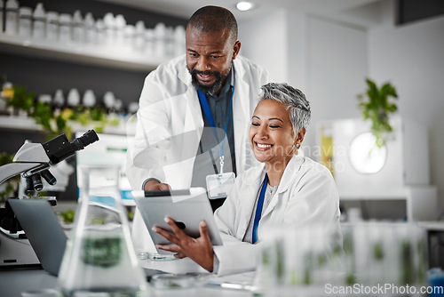 Image of Teamwork, people or tablet in biology laboratory, science collaboration or mature medical research of engineering. Happy scientist, technology or green plant sustainability for growth innovation agro