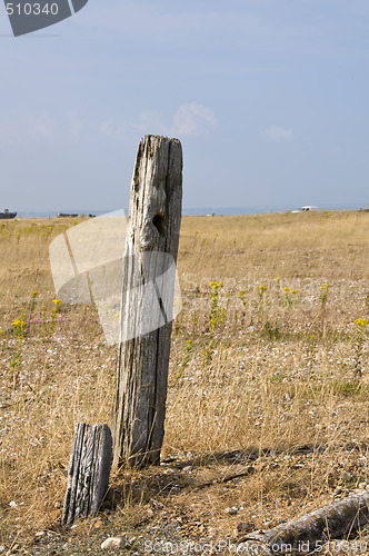 Image of Post on a beach