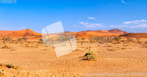 Image of beautiful Sesriem landscape in Namibia Africa