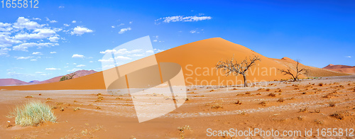 Image of Dune 45 in Sossusvlei, Namibia desert