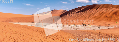 Image of Dead Vlei landscape in Sossusvlei, Namibia