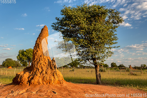 Image of African landscape, Namibia, Africa wilderness