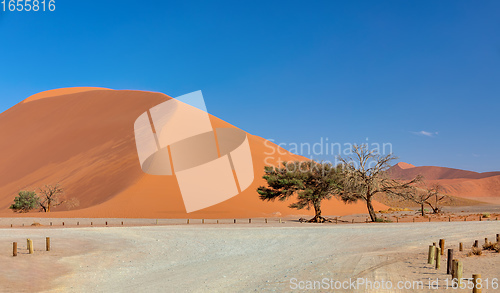 Image of Dune 45 in Sossusvlei, Namibia desert