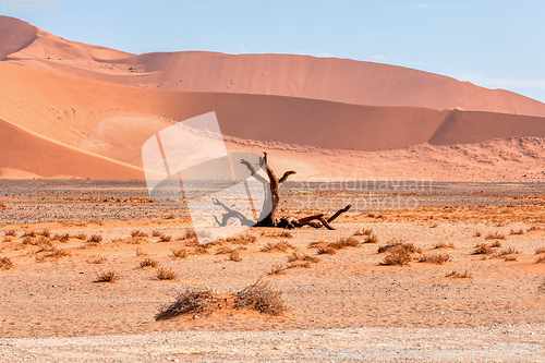 Image of beautiful Sesriem landscape in Namibia Africa