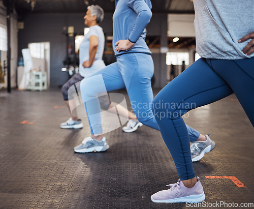 Image of Stretching, fitness and women doing lunges in the gym for health, team yoga and workout in a class. Legs, exercise and group of people at a club for body training, balance and cardio together