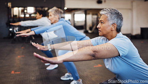 Image of Teamwork, exercise and senior women stretching arms in gym for flexibility, health and wellness. Sports, training or group of elderly retired female friends workout or exercising together for fitness