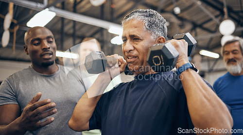 Image of Fitness, old man with dumbbell and help from coach or personal trainer with weight lifting, strength and gym in retirement. Health, exercise and workout at senior sports club and coaching grandpa.