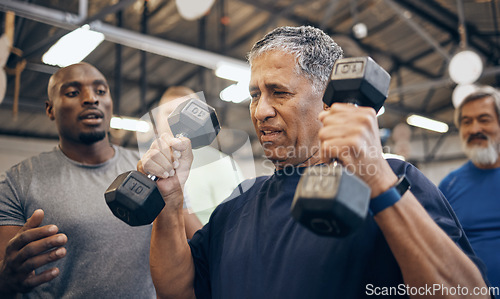 Image of Gym, old man and help from personal trainer with weight lifting, kettlebell and fitness in retirement. Health, exercise and workout at senior training club, sports coach helping grandpa with dumbbell