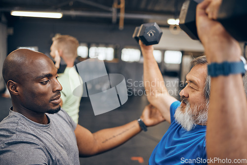 Image of Fitness, old man and personal trainer coaching with dumbbell weightlifting, muscle support and gym in retirement. Health, exercise and workout at senior training club, sports coach helping grandpa.