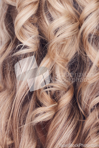 Image of Hair care, curls and woman at the salon for styling, grooming and professsional hairdresser. Zoom, clean and blonde, curly and elegant hairstyle from a hairstylist, hairdressing and beautician