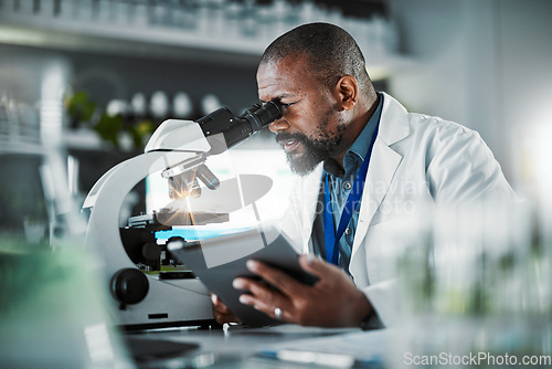 Image of Black man scientist, microscope and plants in lab analysis, biodiversity study and vision for growth with tablet ux. Agriculture science, studying microbiome and laboratory research for future goal