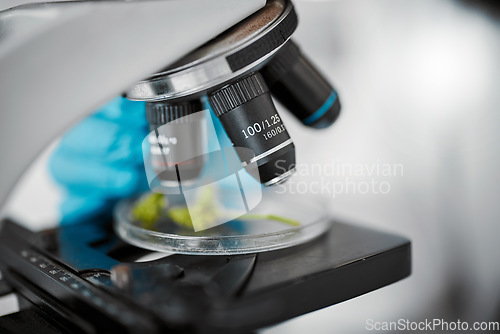 Image of Plant science, microscope and laboratory for research, analysis and floral gmo experiment. Agriculture, ecology sustainability or growth of leafs or plants on petri dish for botany with lab equipment